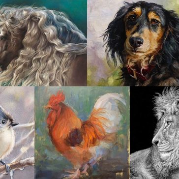 Animal Portraits