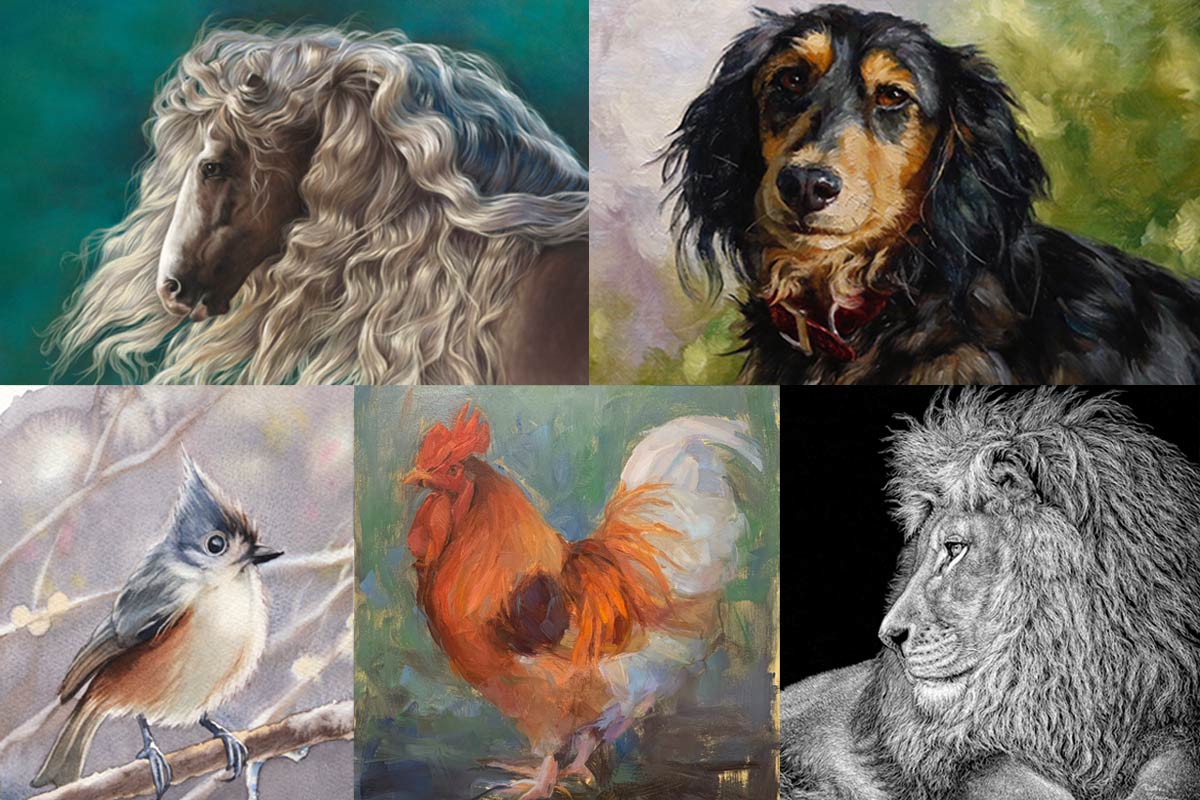 Animal Portraits
