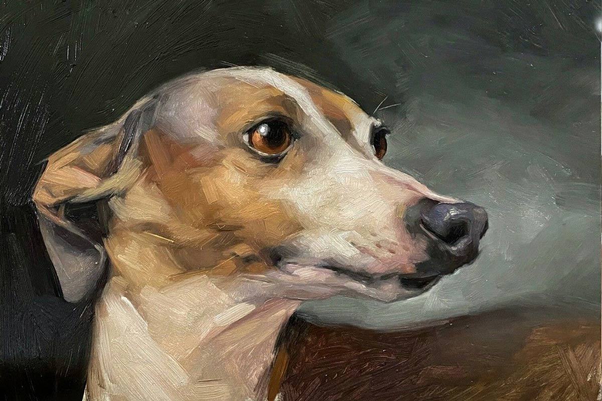 Dog portrait by Jennifer Gennari
