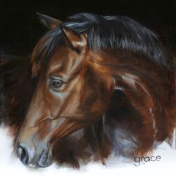 Ann Grace