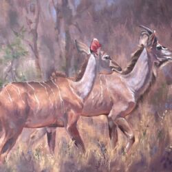 Tonya Burdine