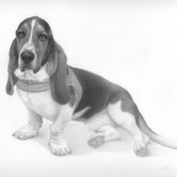 Jennifer Stallone Riddell