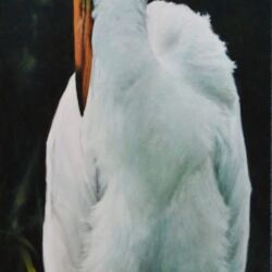 Jane Ingols