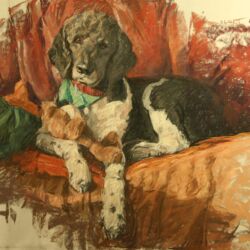 Sam Collett