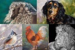 Animal Portraits